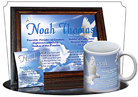 PL-AN13, Name Meaning Print,  Framed, Bible Verse noah dove peace