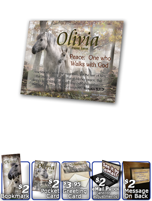 PL-AN45, Name Meaning Print,  Framed, Bible Verse mom mother child horses white olivia