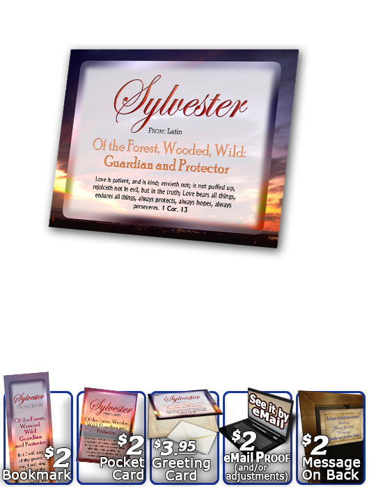 PL-SS03, Name Meaning Print,  Framed, Bible Verse, personalized, sunset, sylvester, simple