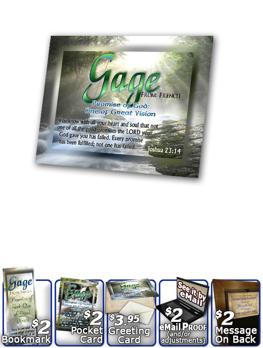 PL-WA11, Name Meaning Print,  Framed, Bible Verse, personalized,gage forest stream river light