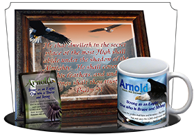 PL-AN20, Name Meaning Print,  Framed, Bible Verse Arnold bald eagle fly