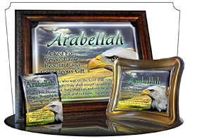 8x10-AN23, personalized 10x12 name meaning print, Arabellah, framed with  name meaning & Bible verse,  bird arabellah bald eagle