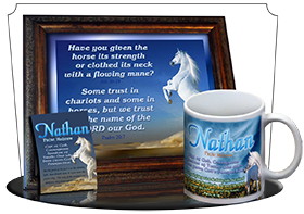 SG-8x10-AN26, Large 10x12 Plaque with Custom Bible Verse  white horse, Psalm 20:7, Job 39:19