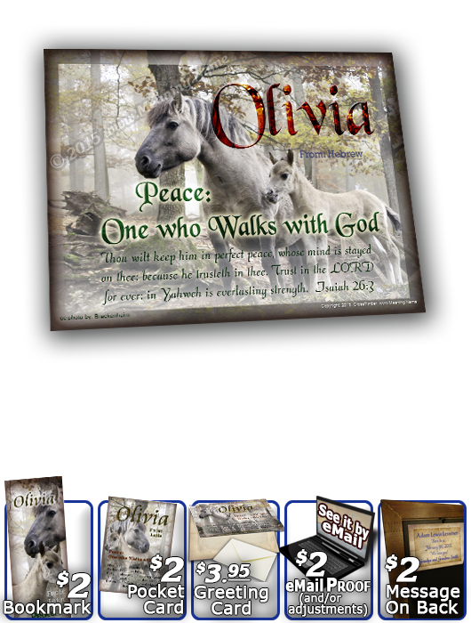 8x10-AN45, personalized 10x12 name meaning print, framed with  name meaning & Bible verse,  mom mother child horses white olivia  Magic enshrouds this enchanted forest, and this dapple grey and her young one, are no strangers to the whimsical antics of th