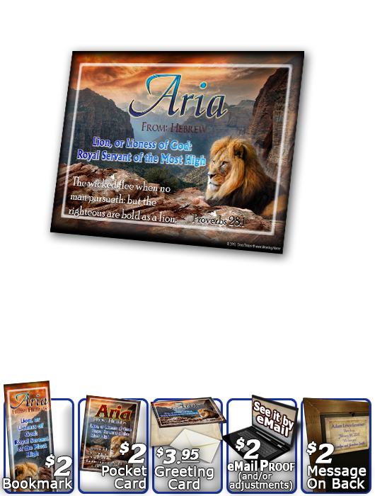 PL-AN09, Name Meaning Print,  Framed, Bible Verse, aria, lion, canyon, bravery, courage