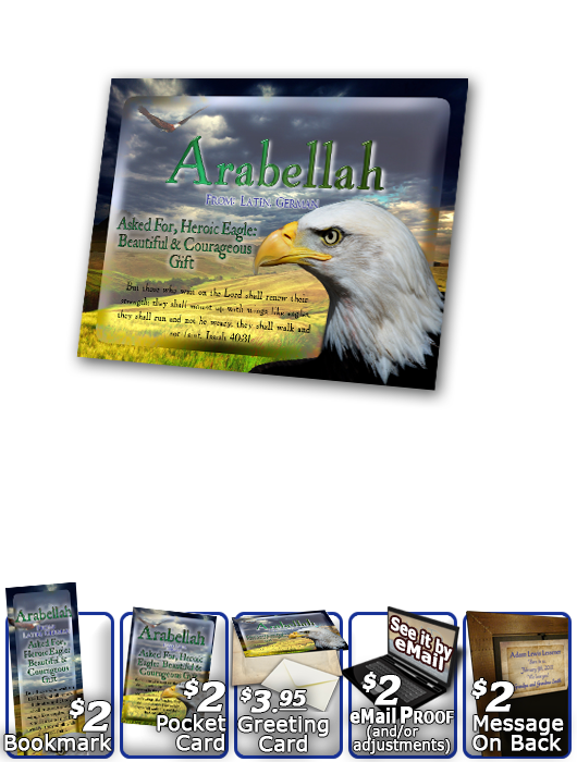 PL-AN23, Name Meaning Print,  Framed, Bible Verse bird arabellah bald eagle