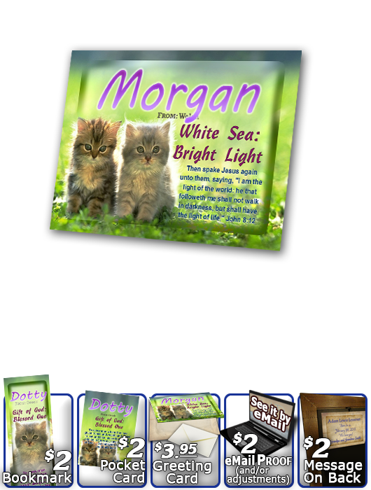 PL-AN50, Name Meaning Print,  Framed, Bible Verse morgan cute fuzzy kittens cats