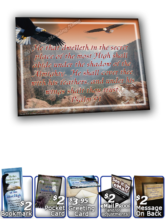 SG-8x10-AN20, Large 10x12 Plaque with Custom Bible Verse  bald eagle fly, Psalm 91, wings of eagles.