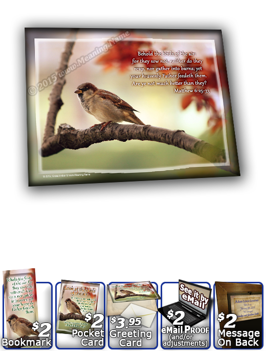 SG-8x10-AN63, Large 10x12 Plaque with Custom Bible Verse  bird birds sparrow, Matthew 6:25-33