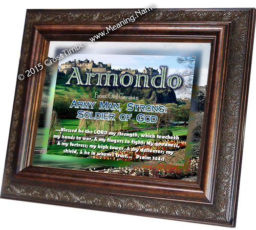 Castles and Fortresses on Framed Name Meaning Prints.