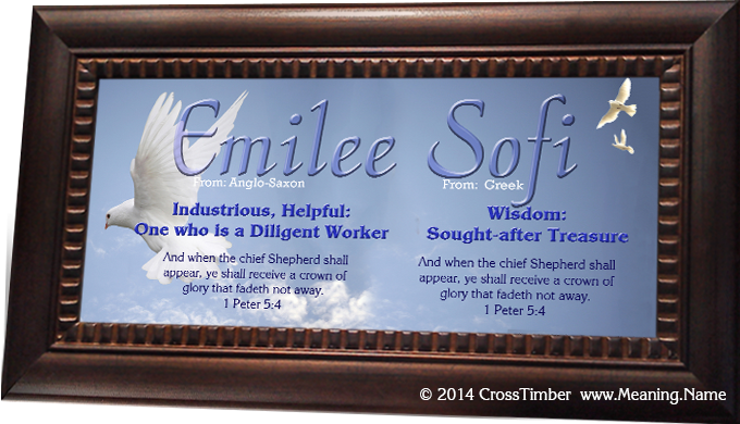 framed name meaning plaque with doves and blue lettering AN13 personalized