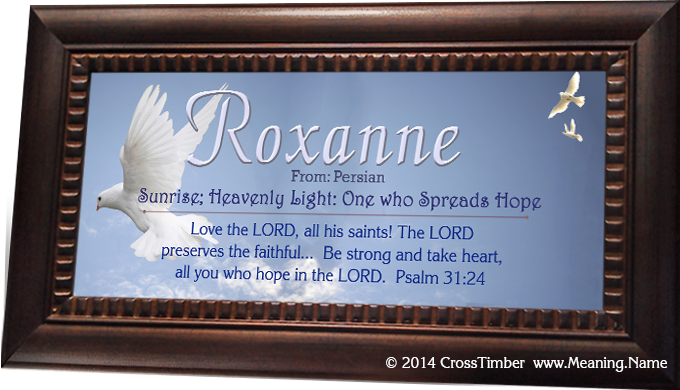 framed personalized name meaning plaque with white doves AN14