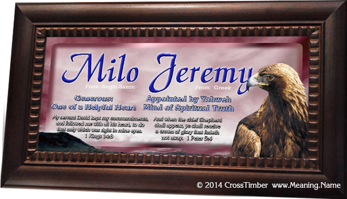 framed name meaning plaque with golden eagle AN24