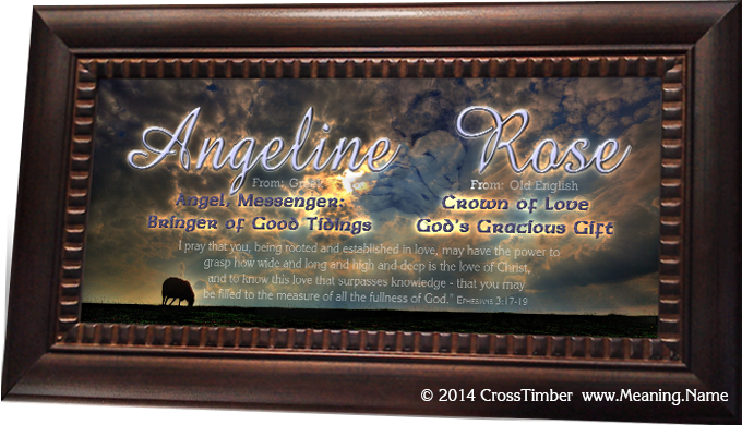 framed name meaning memorial plaque with name meaning angeline rose and sheep AN34