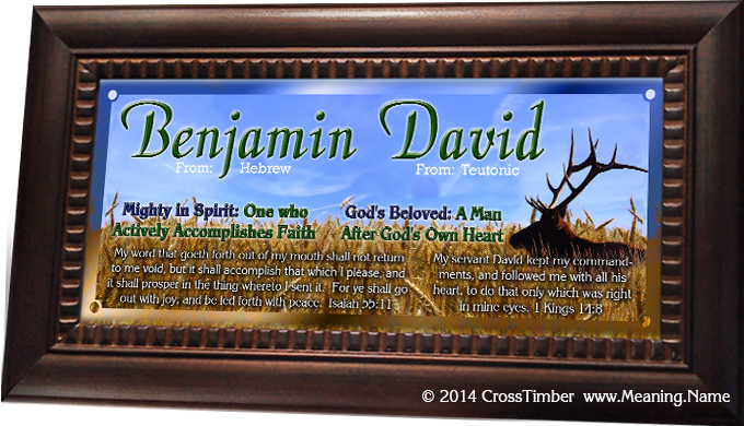 benjamin david an35 name meaning plaque with big deer buck antlers hunter blue sky grain field