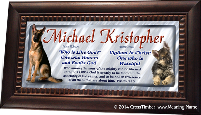German Shepherd puppy and grown shepherd with name meanings, framed AN39