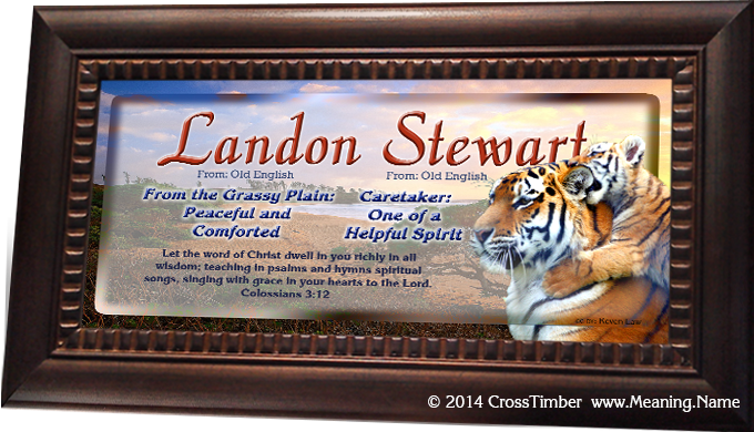 AN40 name meaning plaque with tigers