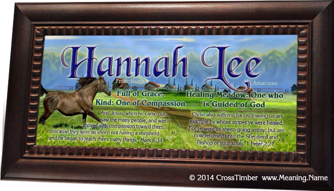 AN48 brown horse running through green field with name meaning, framed.