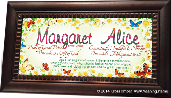 BF15 personalized  framed name meaning print with beaufiul daisys and butterflies.