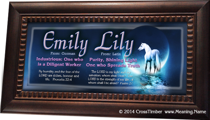 CR09 framed name meaning print with white horse and moon
