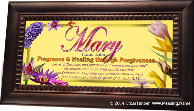 FL18 flower garden name meaning print, framed with pink lettering for name meaning and verse