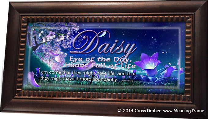FL29 framed name meaning with purple night flowers