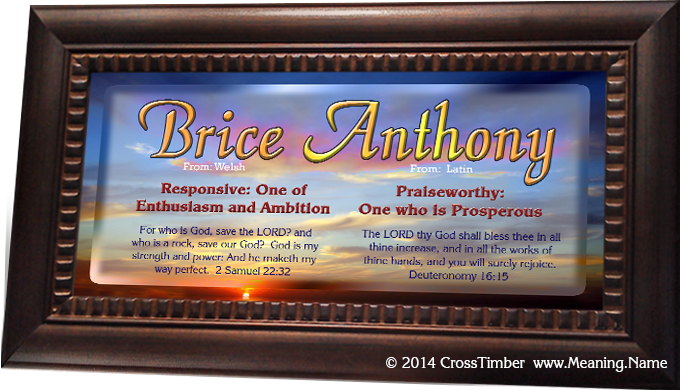 SS06 sunset couples name sweethearts name meaning gift print, framed brice anthony