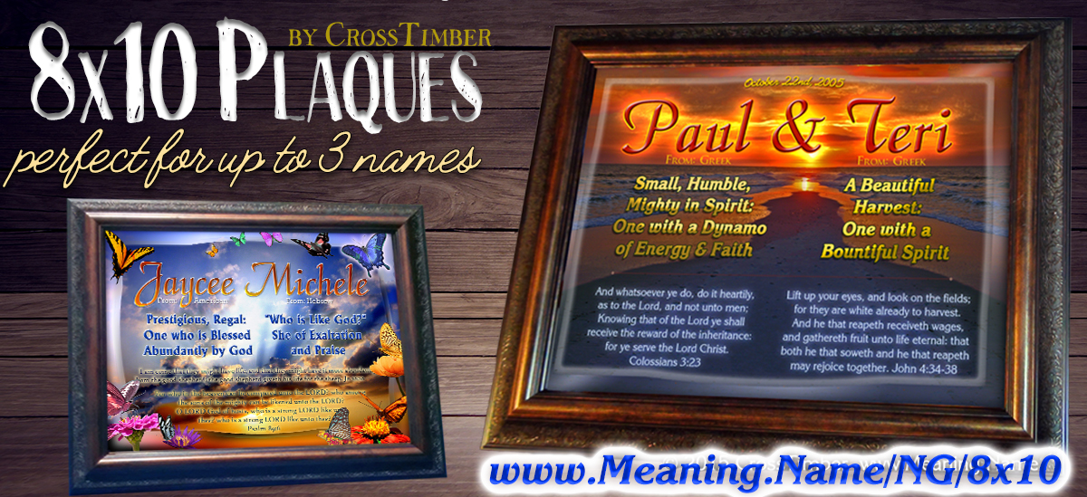 8x10 Plaques
