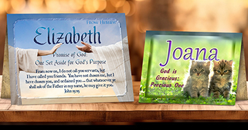 Greeting Cards