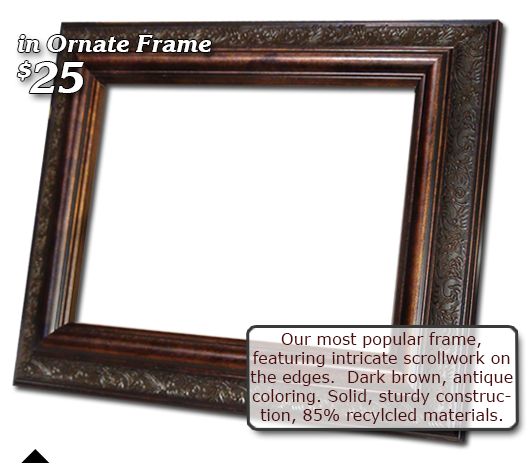 Frame option 1