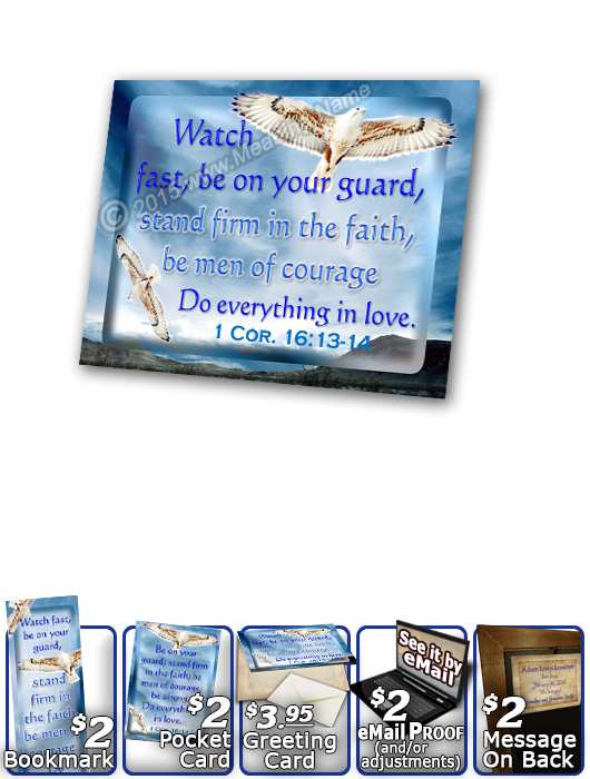 SG-PL-AN52, Custom Scripture Plaque,  Framed, Bible Verse  white hawk  bird, 1 Corinthians 16:13-14