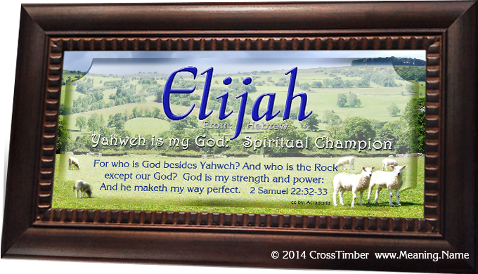 white lambs and sheep with name meaning print, framed AN03