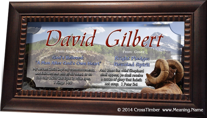 framed name meaning print with ram AN10