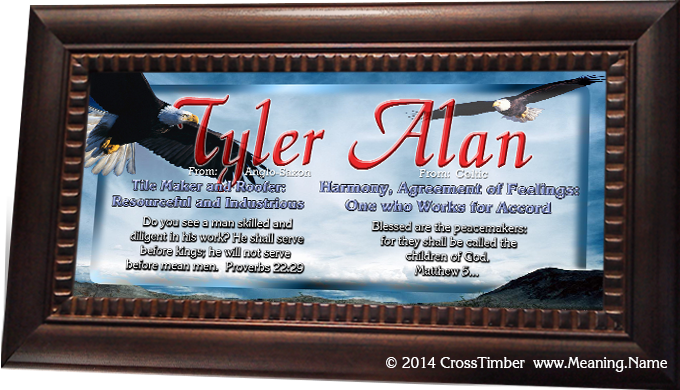 AN38 name meaning print, framed with flying eagles