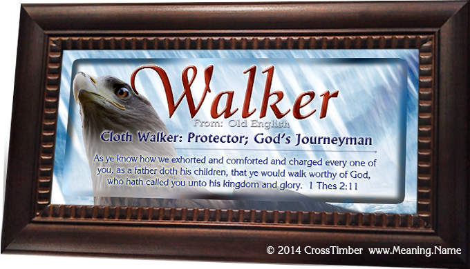 AN47 Noble eagle in flight with name meaning, framed and printed