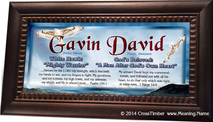 AN52 name meaning print with white hawks and blue skies