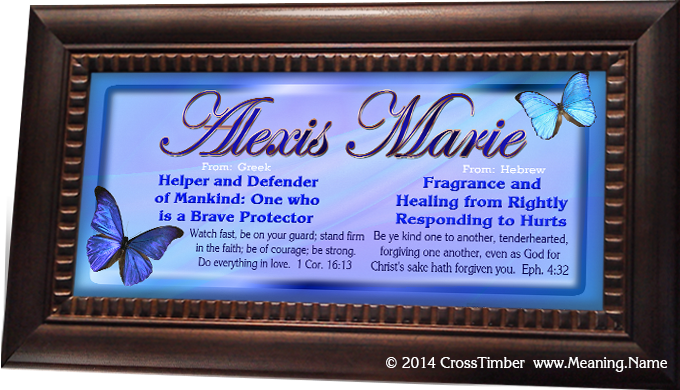 BF02 name meaning print with blue butterflies
