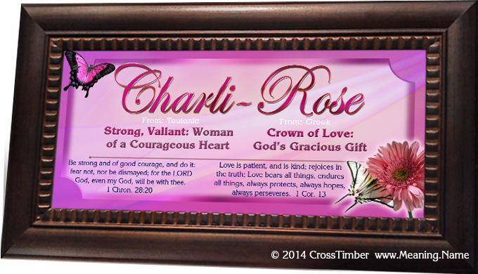 BF05 Bible verse with butterflies and name meanings, framed, butterfly