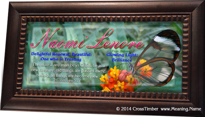 BF13 butterfly with clear wings on a flower on a name meaning print, framed