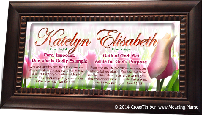 FL25 tulip background with name meaning, framed