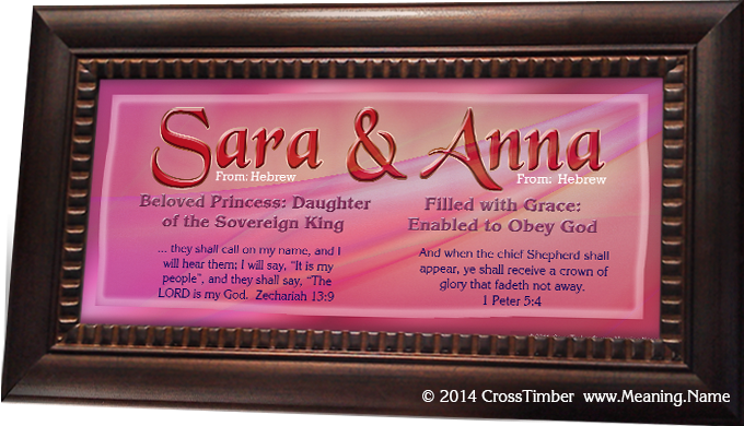 SM06 pink baby name gift simple name meaning print
