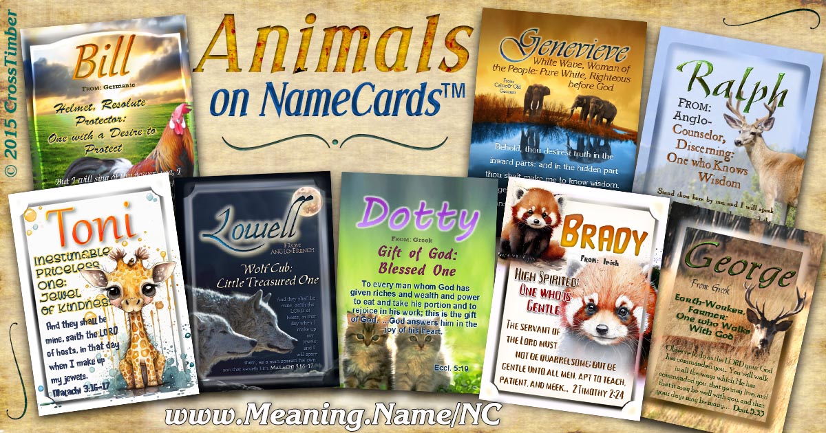 Animals NameCards