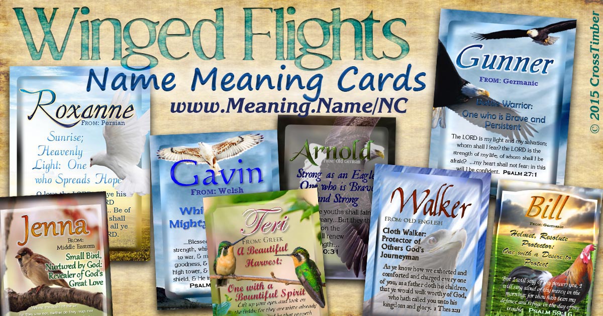 Birds NameCards