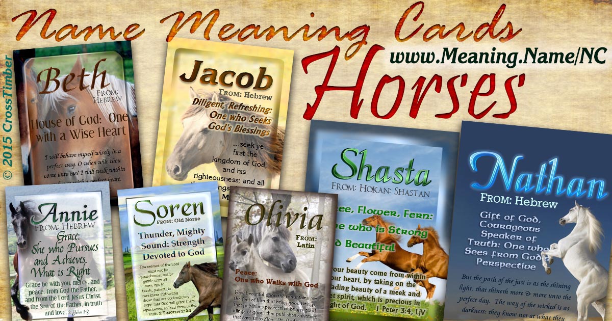Horses NameCards