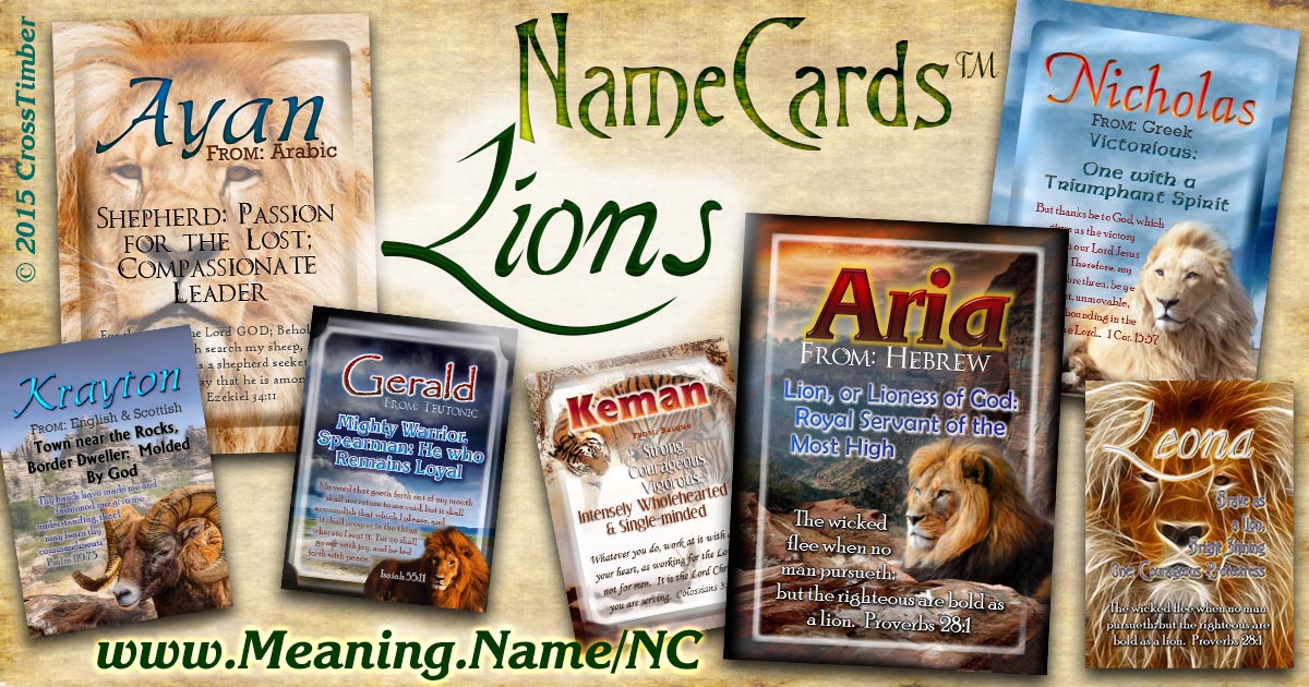 Lions NameCards