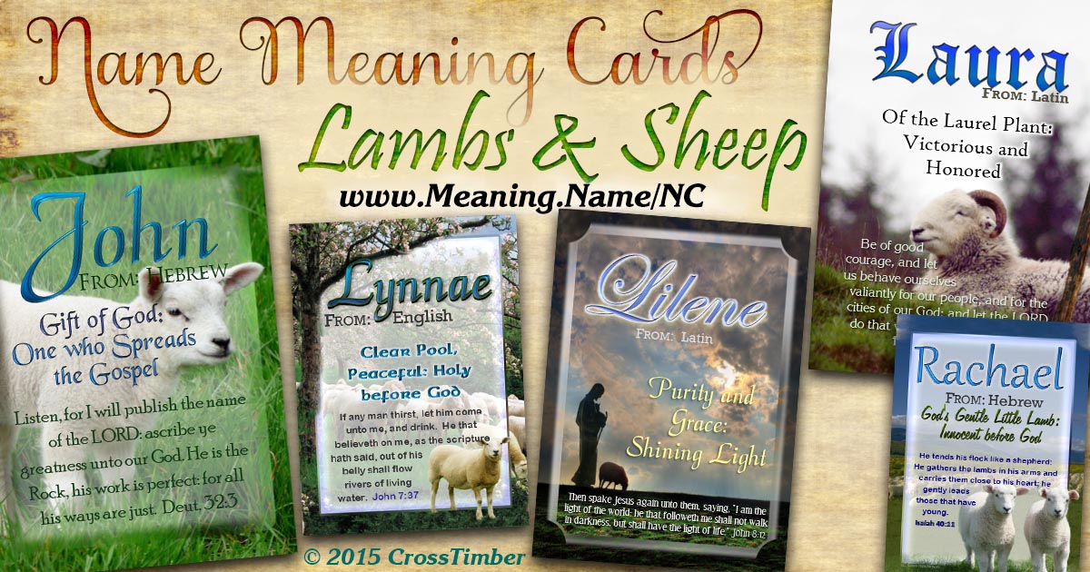 Sheep NameCards